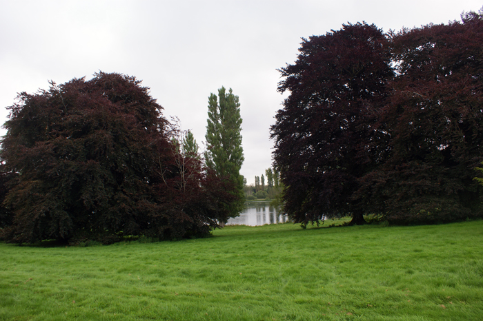England: Englischer Landschaftsgarten, Blenheim 2012
