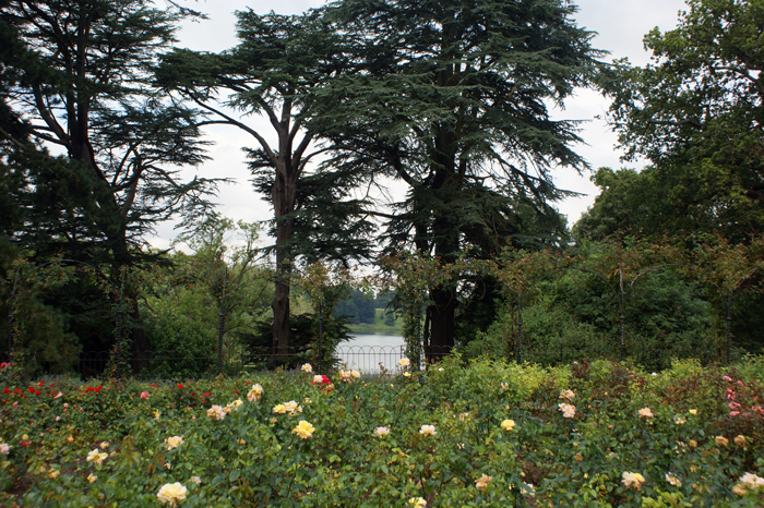 England: Englischer Landschaftsgarten, Blenheim 2012
