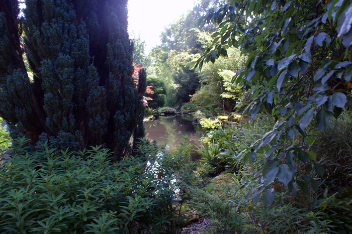 England: Englischer Landschaftsgarten, Blenheim 2012
