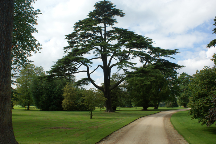 England: Englischer Landschaftsgarten, Blenheim 2012
