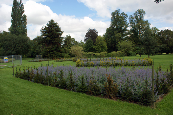 England: Englischer Landschaftsgarten, Blenheim 2012