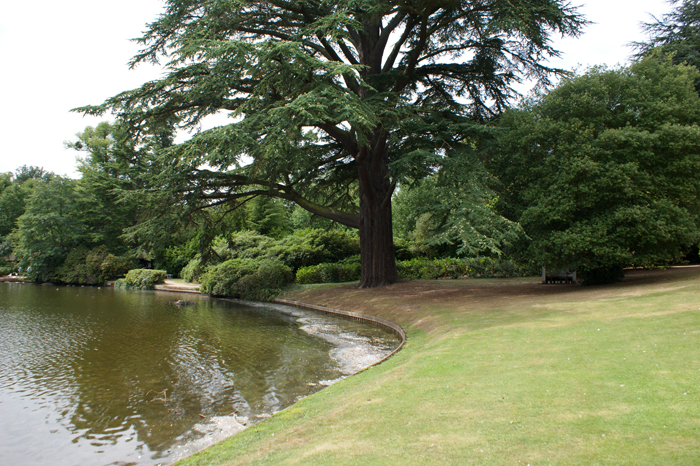 England: Englischer Landschaftsgarten, Claremont 2012