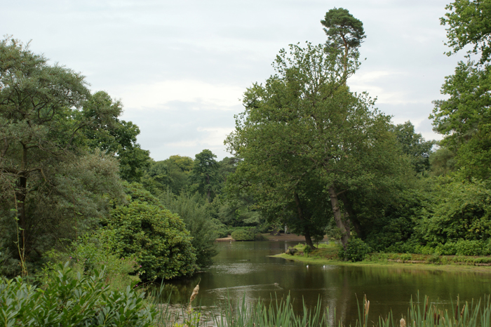 England: Englischer Landschaftsgarten, Claremont 2012