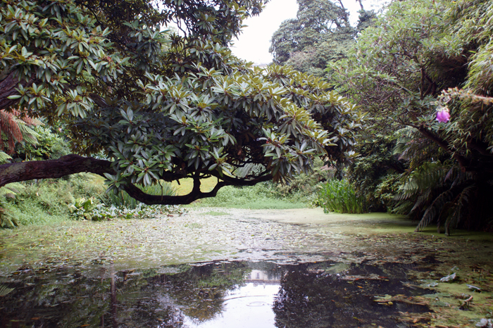England: Englischer Landschaftsgarten, Lsost Garden of Heligan 2012