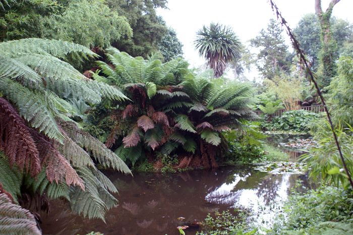 England: Englischer Landschaftsgarten, Lsost Garden of Heligan 2012