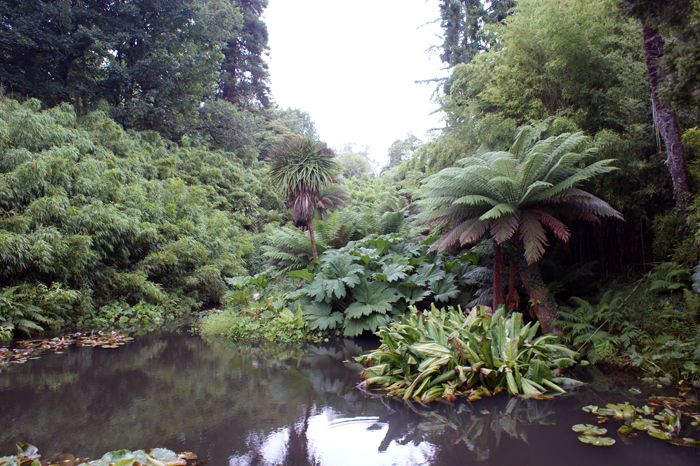 England: Englischer Landschaftsgarten, Lsost Garden of Heligan 2012