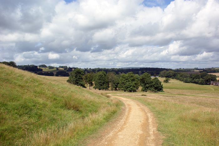 England: Engl. Landschaftsgarten, Petworth 2012