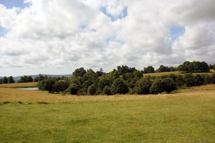 England: Engl. Landschaftsgarten, Petworth 2012