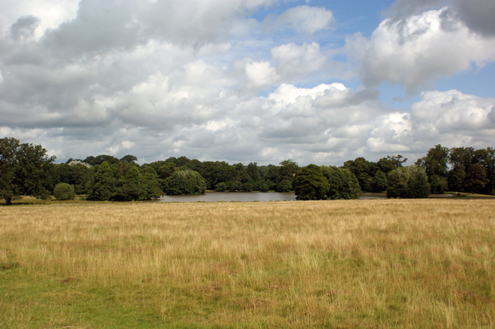 England: Engl. Landschaftsgarten, Petworth 2012