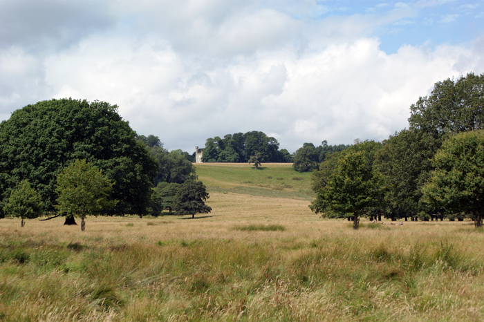 England: Engl. Landschaftsgarten, Petworth 2012