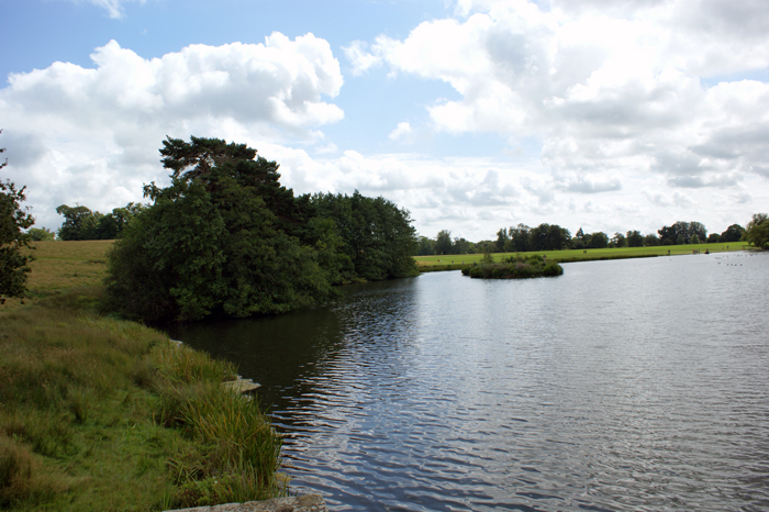 England: Engl. Landschaftsgarten, Petworth 2012