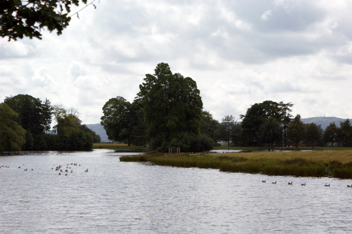 England: Engl. Landschaftsgarten, Petworth 2012