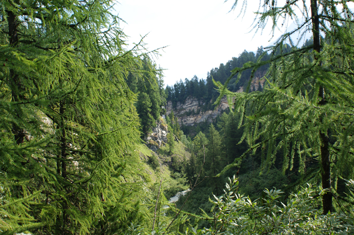 Schweiz: Graubünden, Vextal und Viamalaschlucht 2012