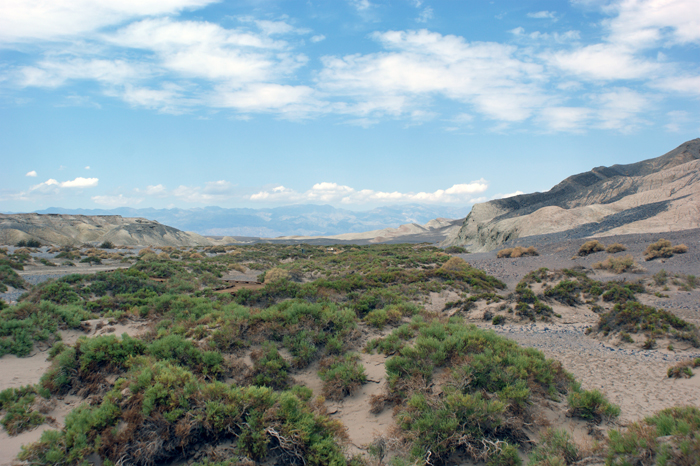 USA: Death Valley 2013
