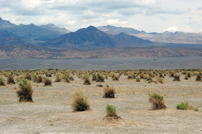 USA: Death Valley 2013
