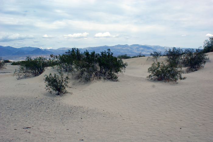 USA: Death Valley 2013
