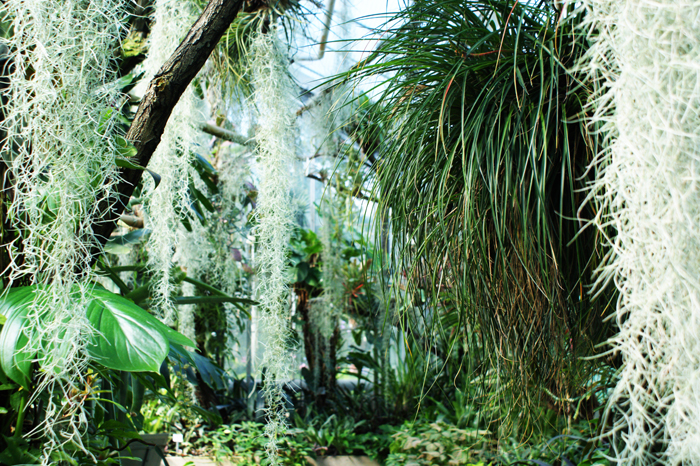 Deutschland: Botanischer Garten Sanssouci 2013