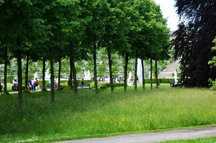 Deutschland: Park Sanssouci 2013

