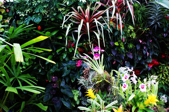 USA: San Francisco 2013