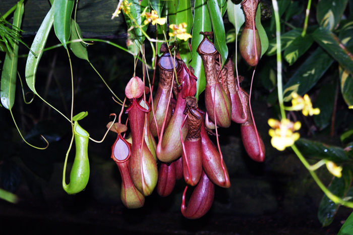 USA: San Francisco 2013