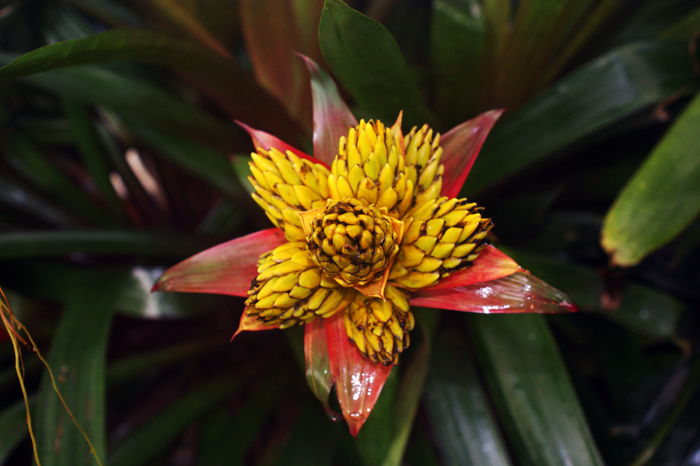 USA: San Francisco 2013