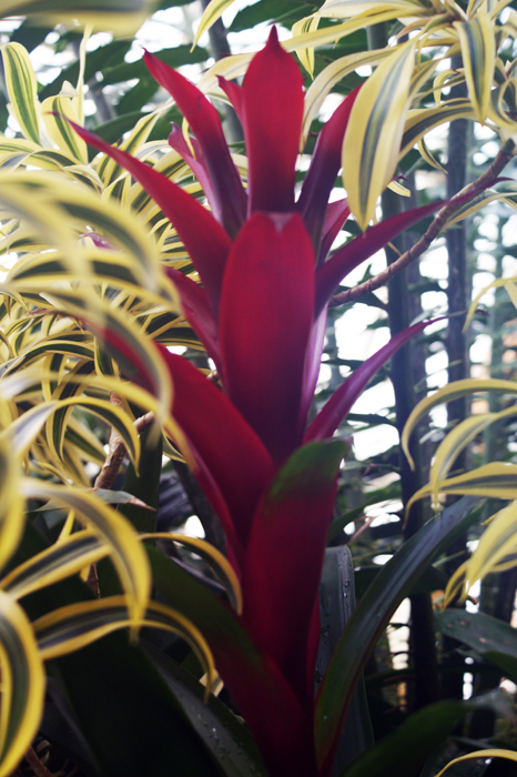 USA: San Francisco 2013