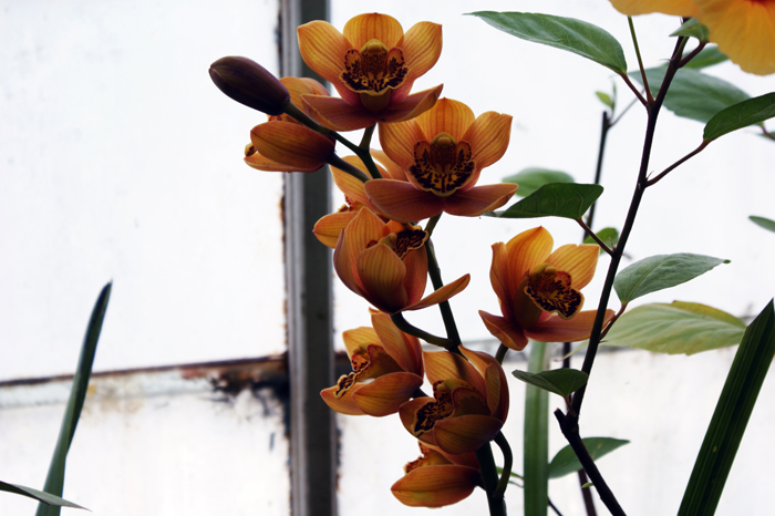 USA: San Francisco 2013