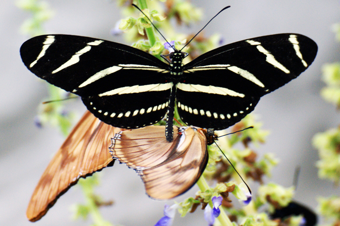 USA: San Francisco 2013