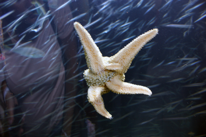 USA: San Francisco 2013