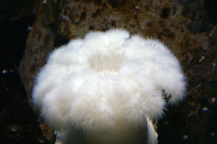 USA: San Francisco 2013