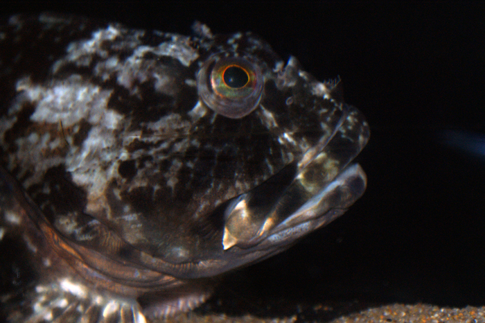 USA: San Francisco 2013