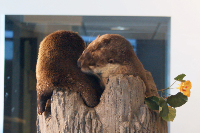 USA: San Francisco 2013