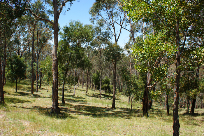Australien: Die Farm 2014
