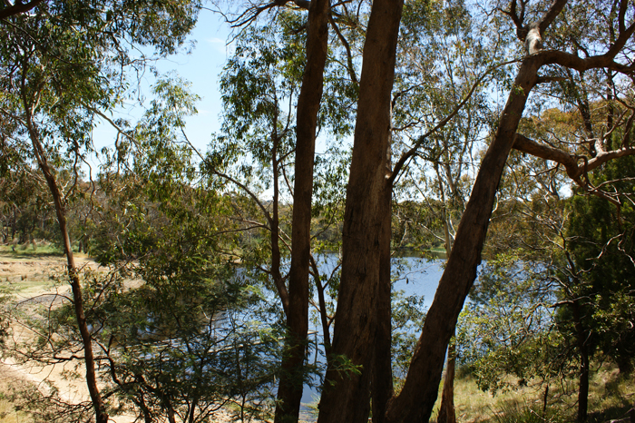 Australien: Die Farm 2014
