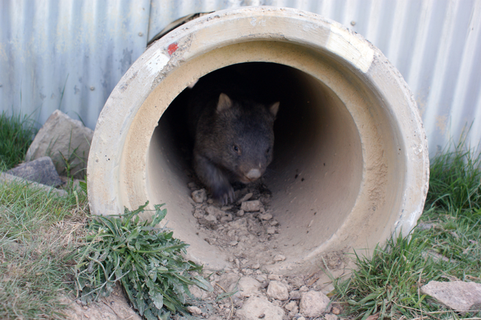 Australien: Die Farm 2014
