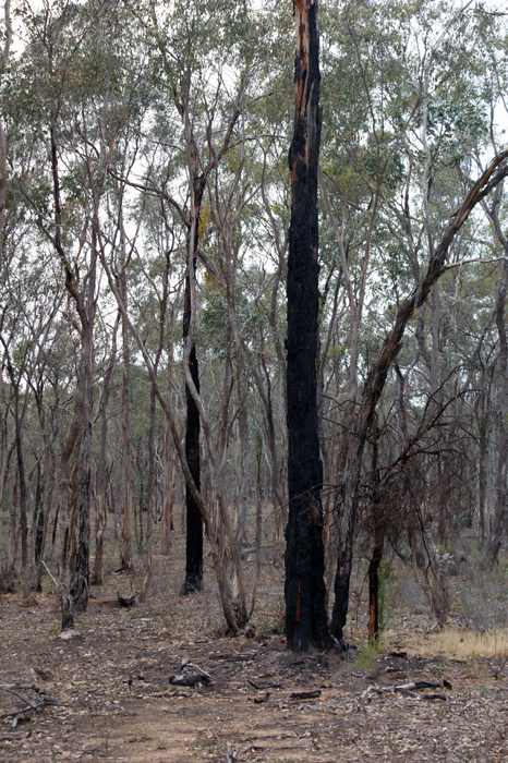 Australien: Grampians 2014