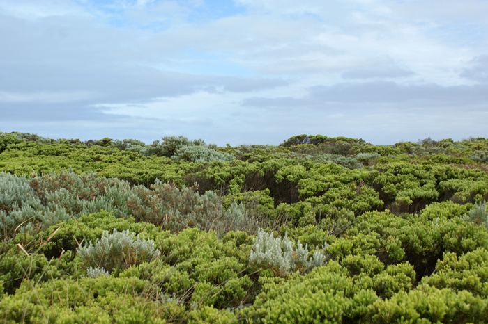 Australien: Great Ocean Road 2014
