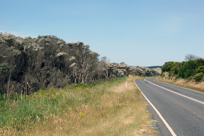 Australien: Great Ocean Road 2014