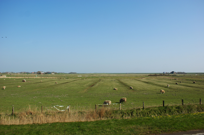 Deutschland: Nordsee 2014