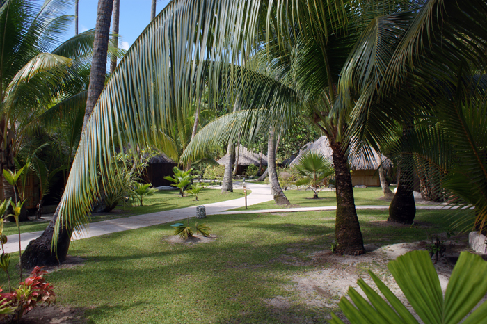 Französisch Polynesien: Bora Bora Pearl Beach Resort 2014
