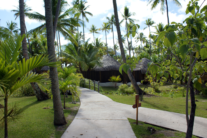 Französisch Polynesien: Bora Bora Pearl Beach Resort 2014
