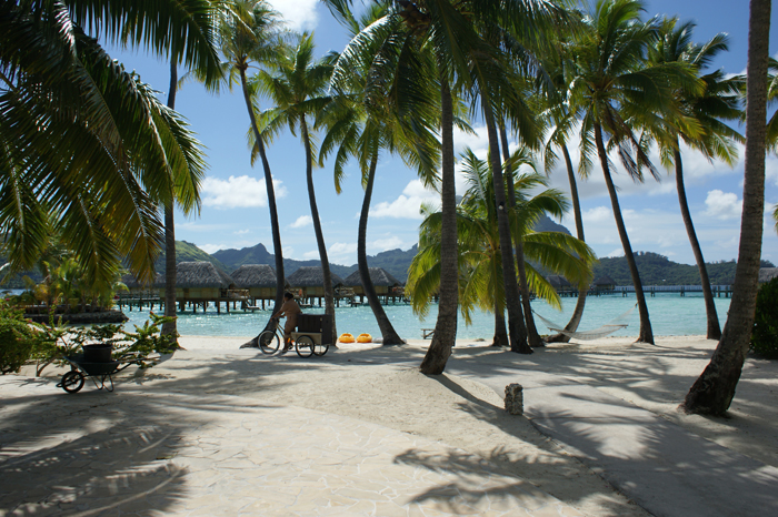 Französisch Polynesien: Bora Bora Pearl Beach Resort 2014
