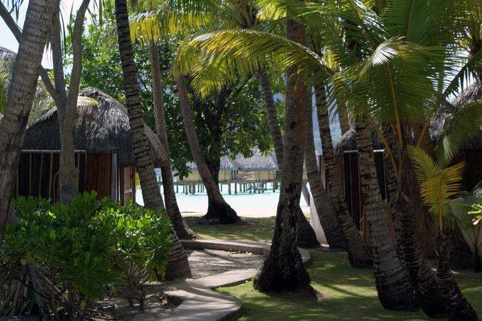 Französisch Polynesien: Bora Bora Pearl Beach Resort 2014
