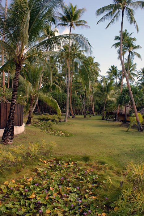 Französisch Polynesien: Bora Bora Pearl Beach Resort 2014
