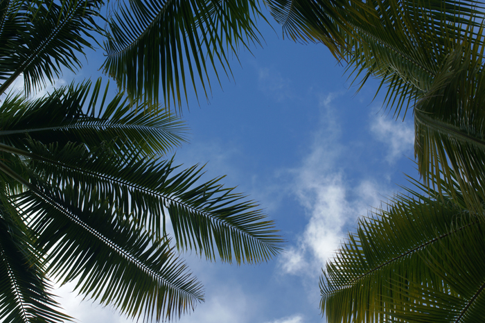 Französisch Polynesien: Bora Bora Pearl Beach Resort 2014
