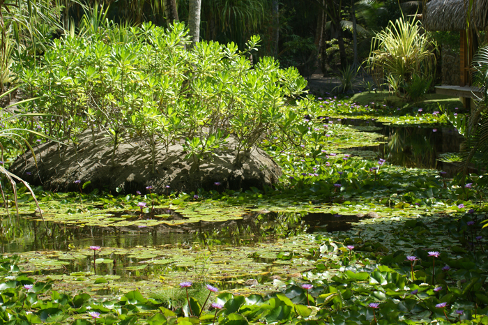 Französisch Polynesien: Bora Bora Pearl Beach Resort 2014
