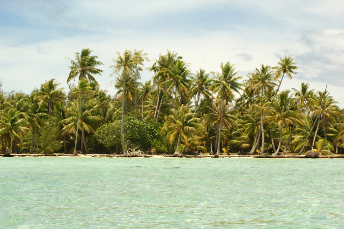 Französisch Polynesien: Bora Bora Inselwelt 2014
