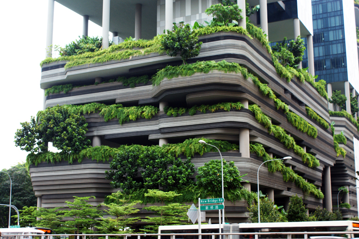 Singpur: City 2014
