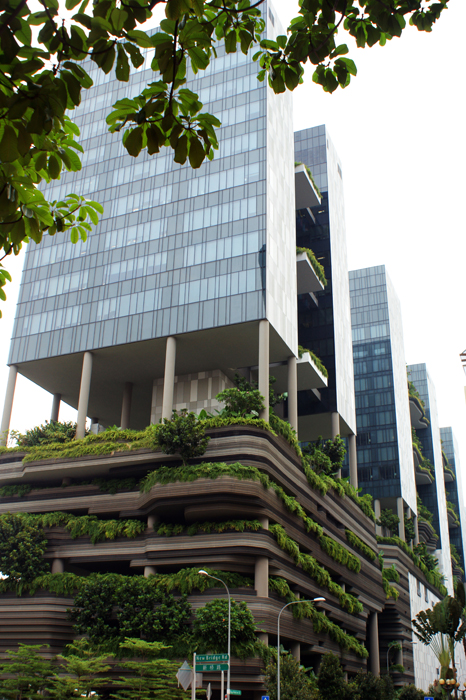 Singpur: City 2014

