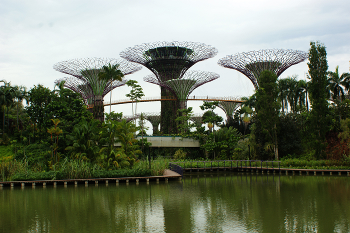 Singapur: Garden by the Bay 2014
